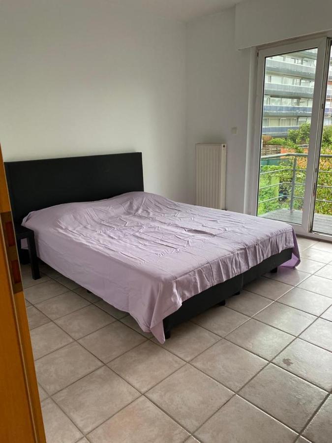 Superbe Appartement Lumineux Et Spacieux Antwerpen Eksteriør billede